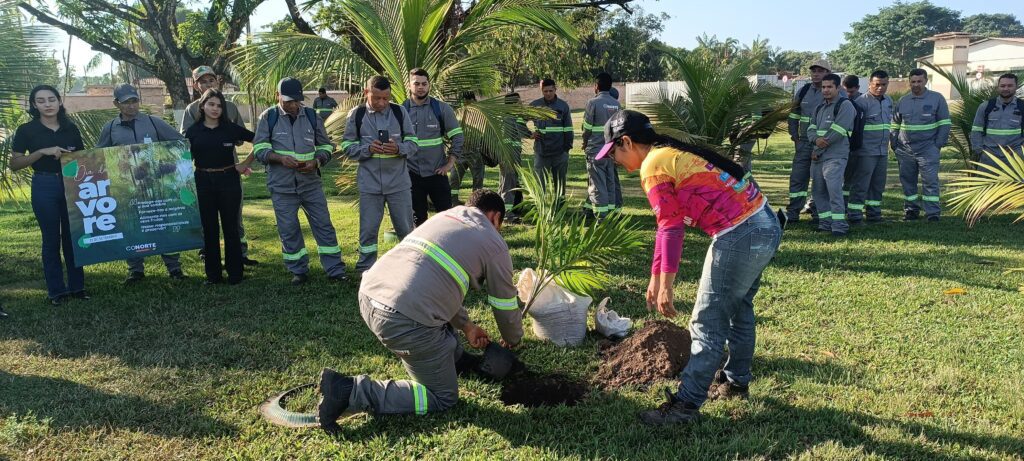 Dia da Árvore Projeto Conorte